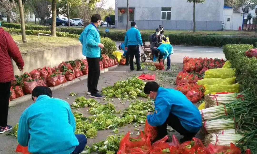 新冠肺炎疫情以來，中光學于細微處創造條件關心關愛員工，為復工人員供應新鮮蔬菜，截至目前先后發放各類蔬菜共計12萬千克。 