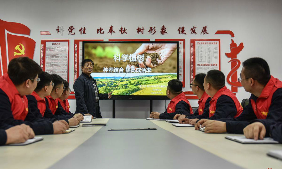為了提高種植成活率，工作人員認真學習植樹知識。（孫丁 攝）
