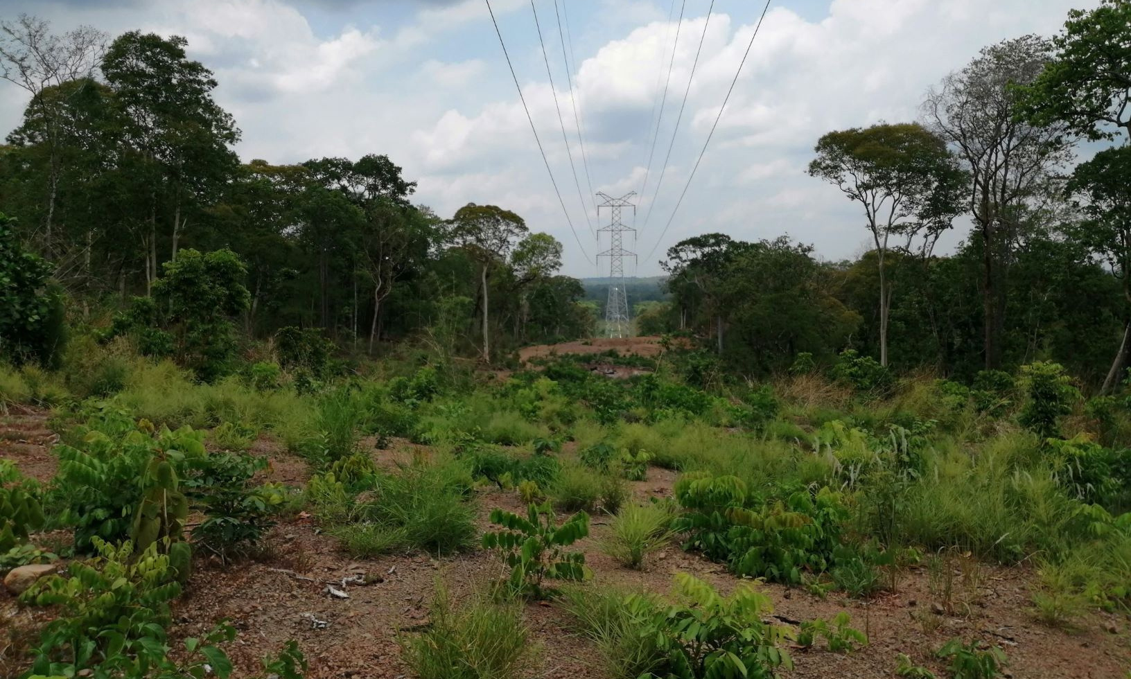 實現帶電運行的桔井—蒙多基里線路采用同塔雙回雙接地，途徑山區、森林，地形復雜，設備運輸困難。