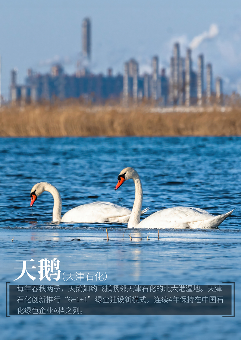 微信圖片_20240531093144.jpg