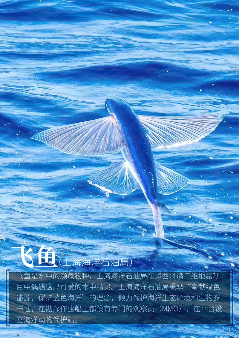 微信圖片_20240531093209.jpg
