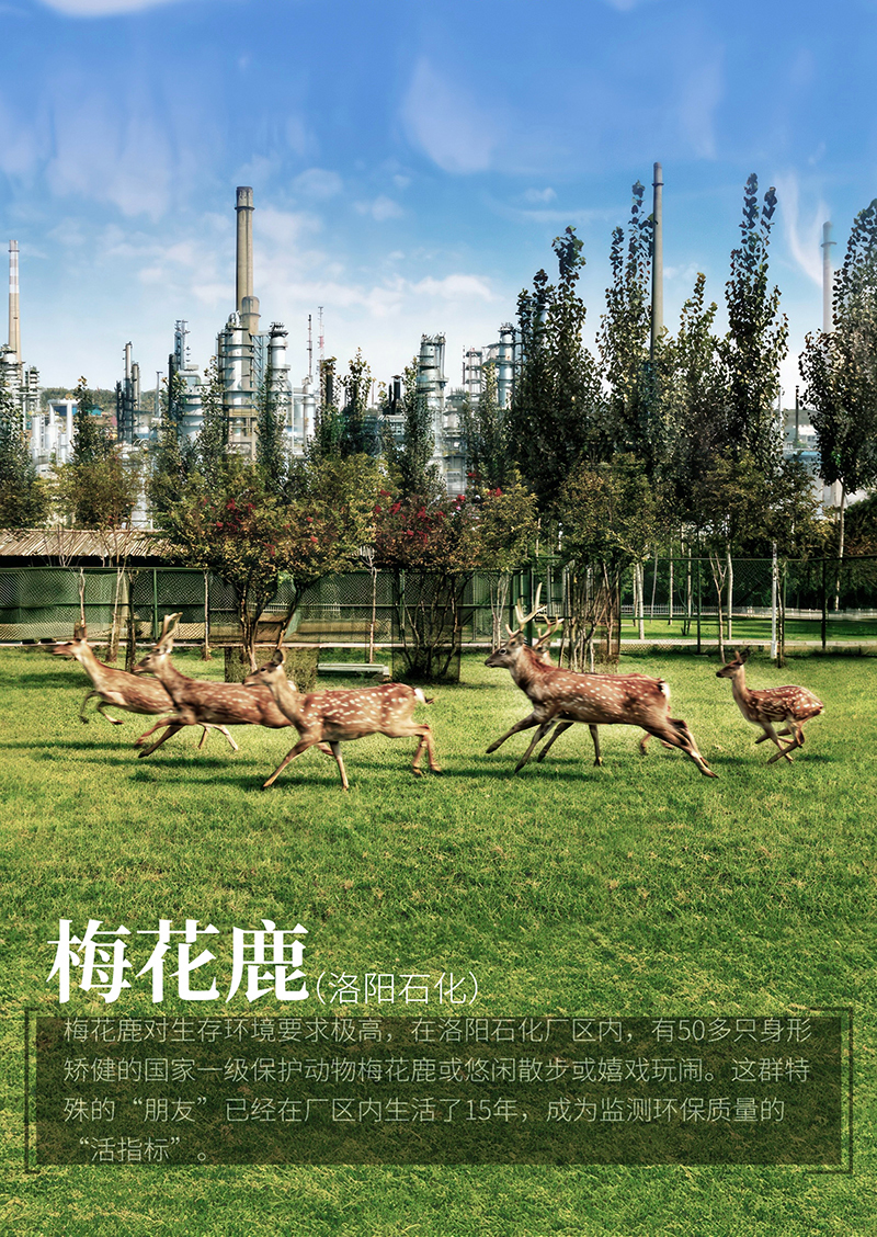 微信圖片_20240531093214.jpg
