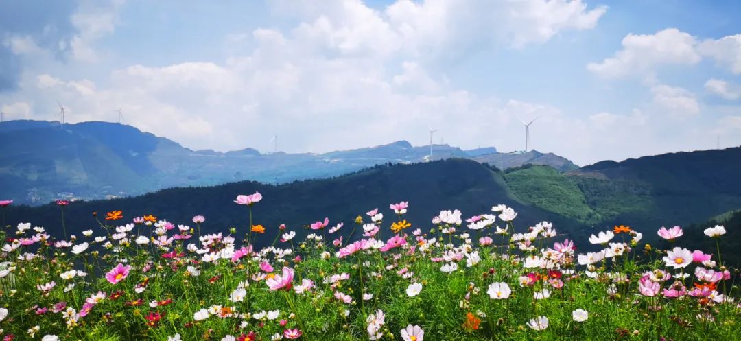 廣西樂業風電2.jpg