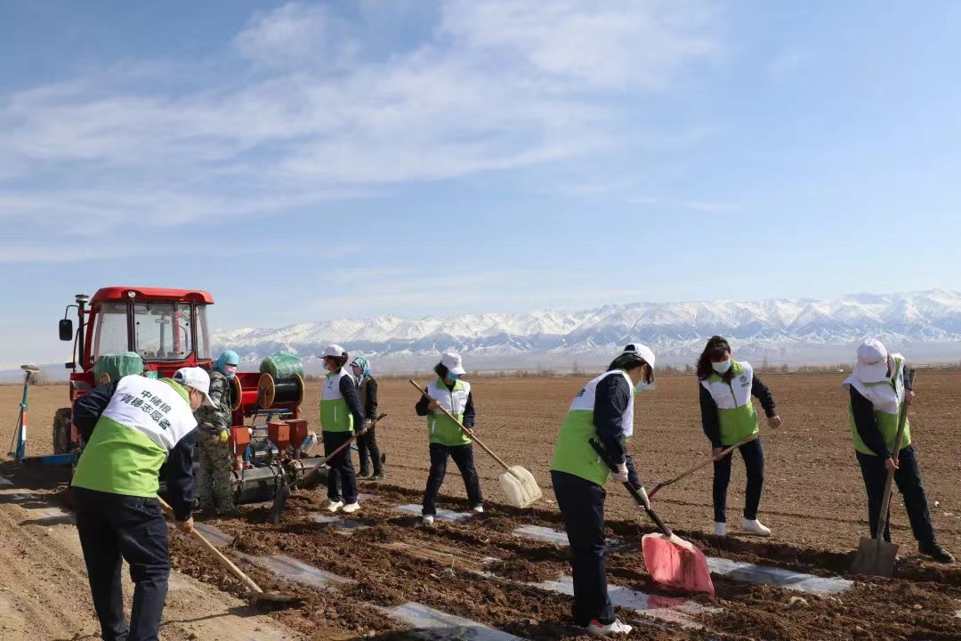 11831657523110_.pic.jpg 11831657523110_.pic.jpg